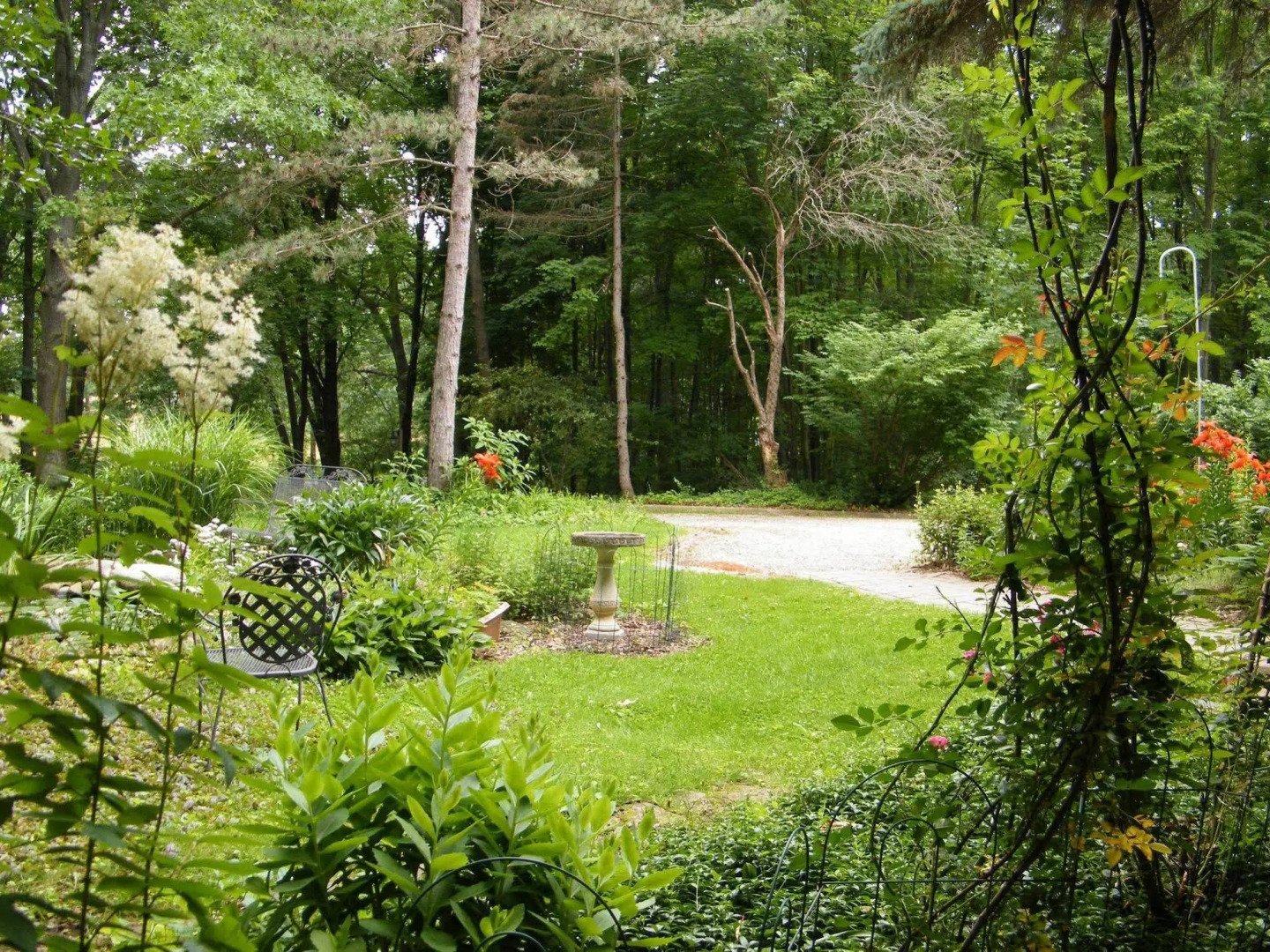 Self Realization Meditation Healing Centre