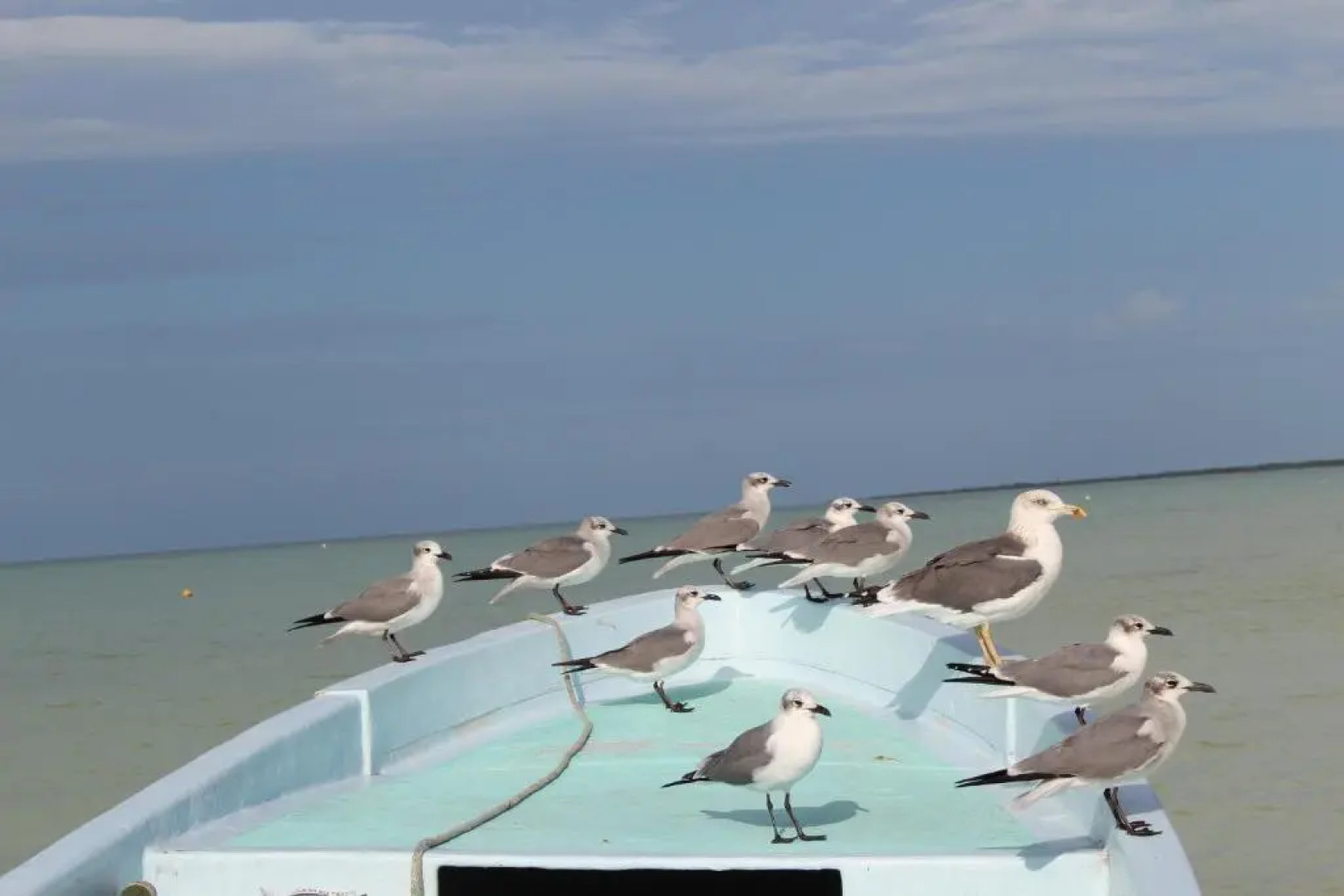 Tierra Mia Hotel Boutique