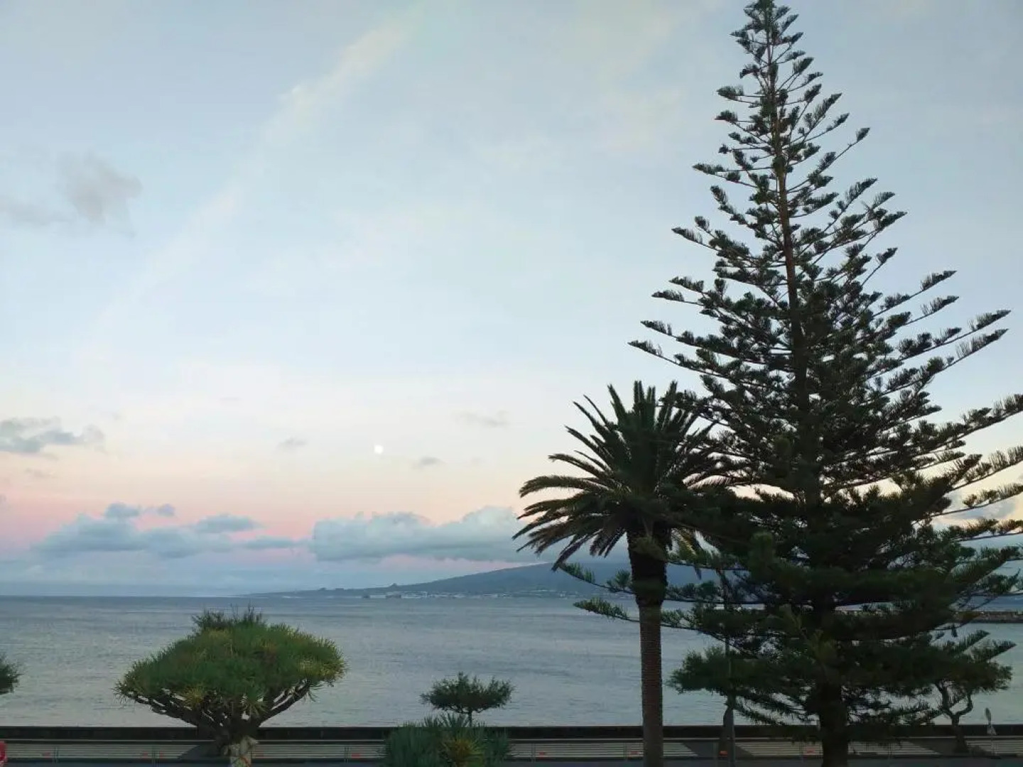 Apartamento Avenida - AL 1798