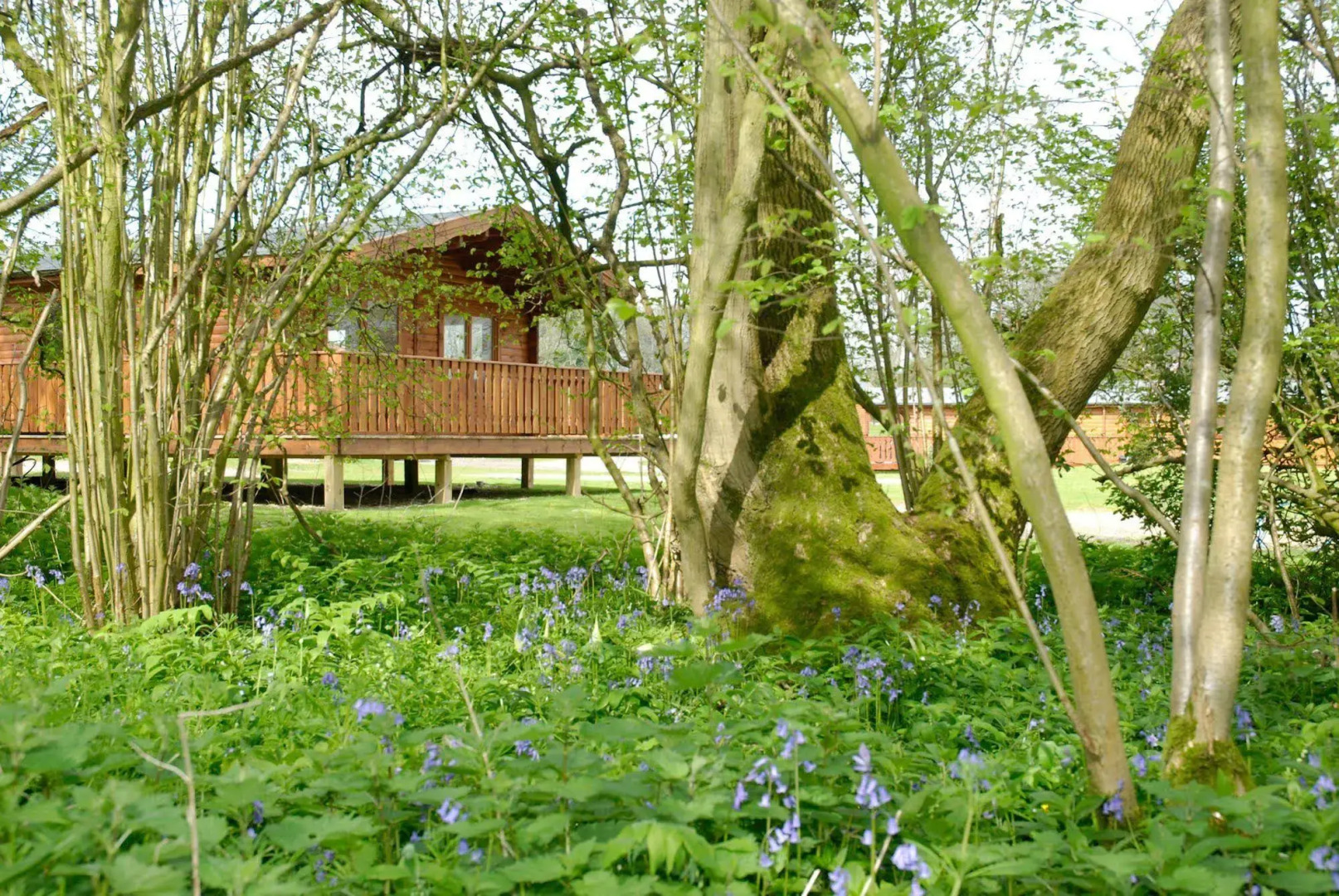 South Winchester Lodges