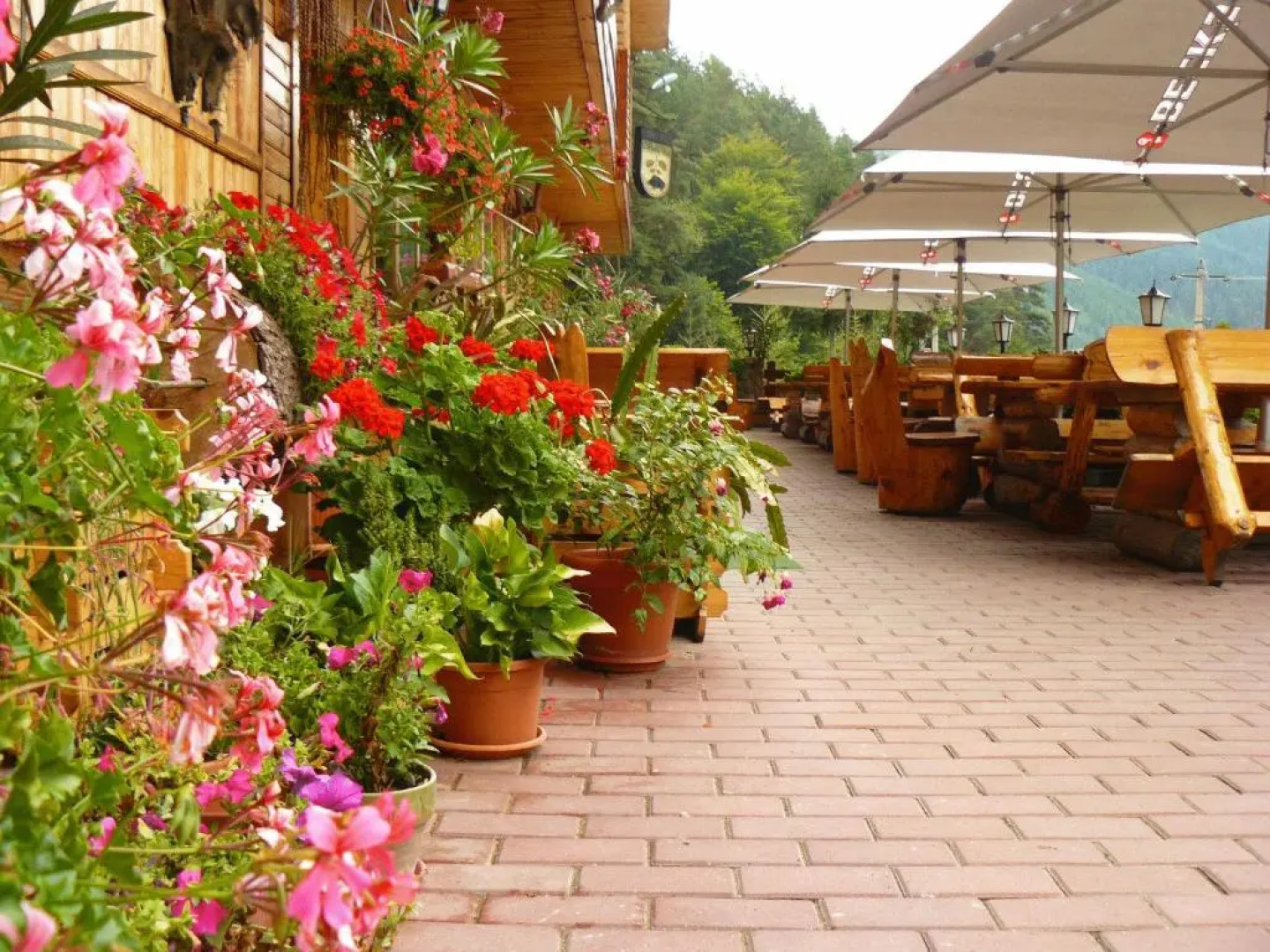 Pension Curmatura Stezii