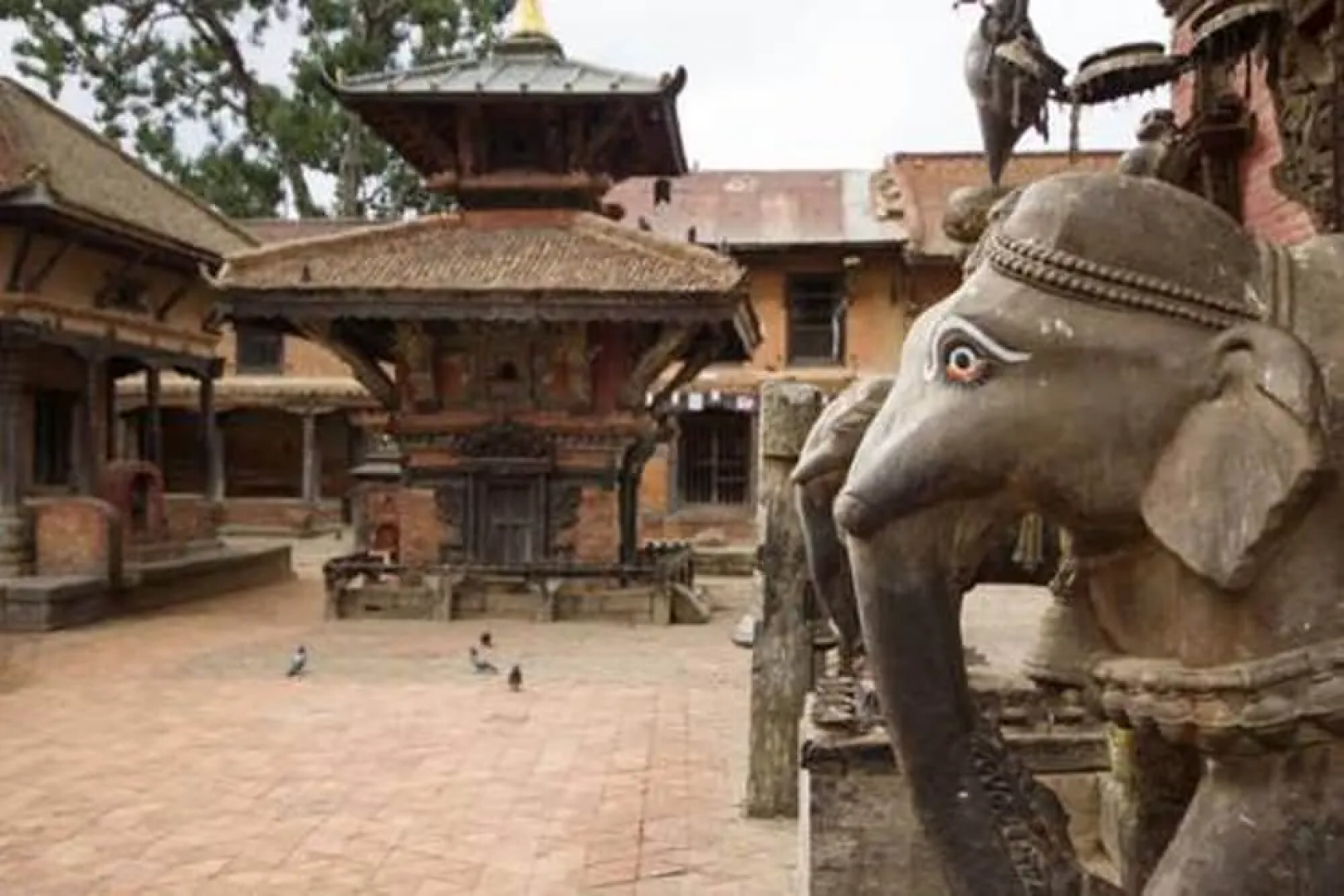 Star View Guest House