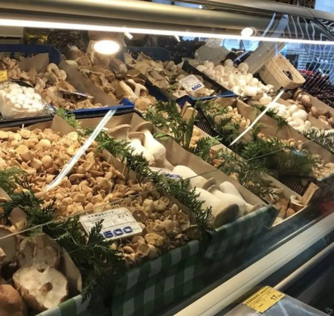 Apartamento Guggenheim bilbao