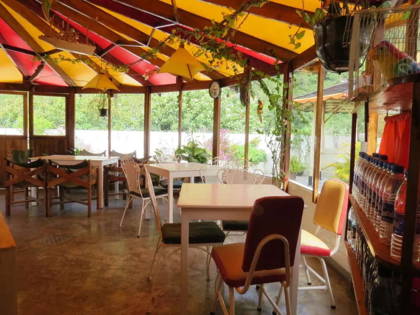 Hostal Plantas  Y Blanco