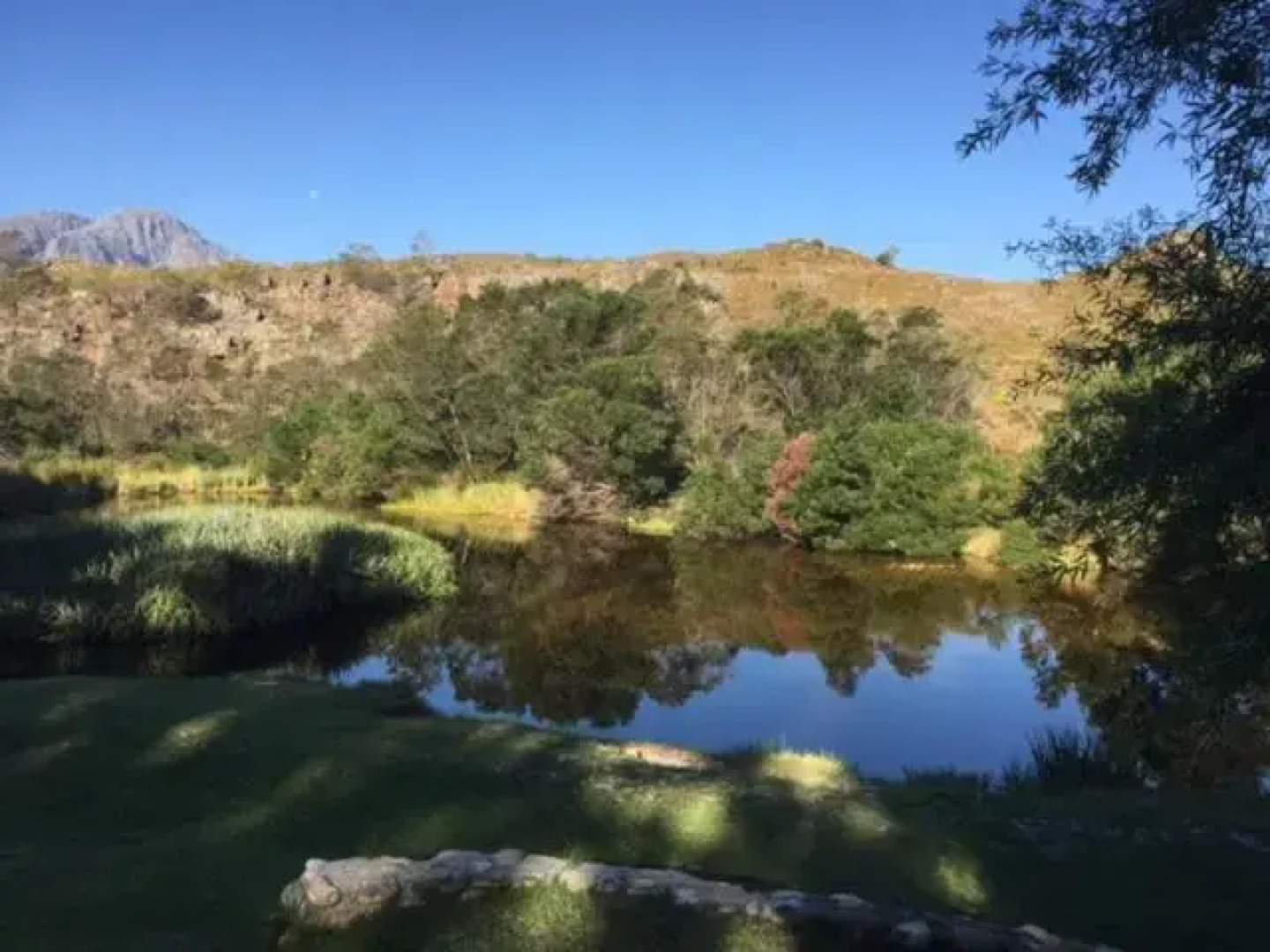 Rivers Own Guest Lodge