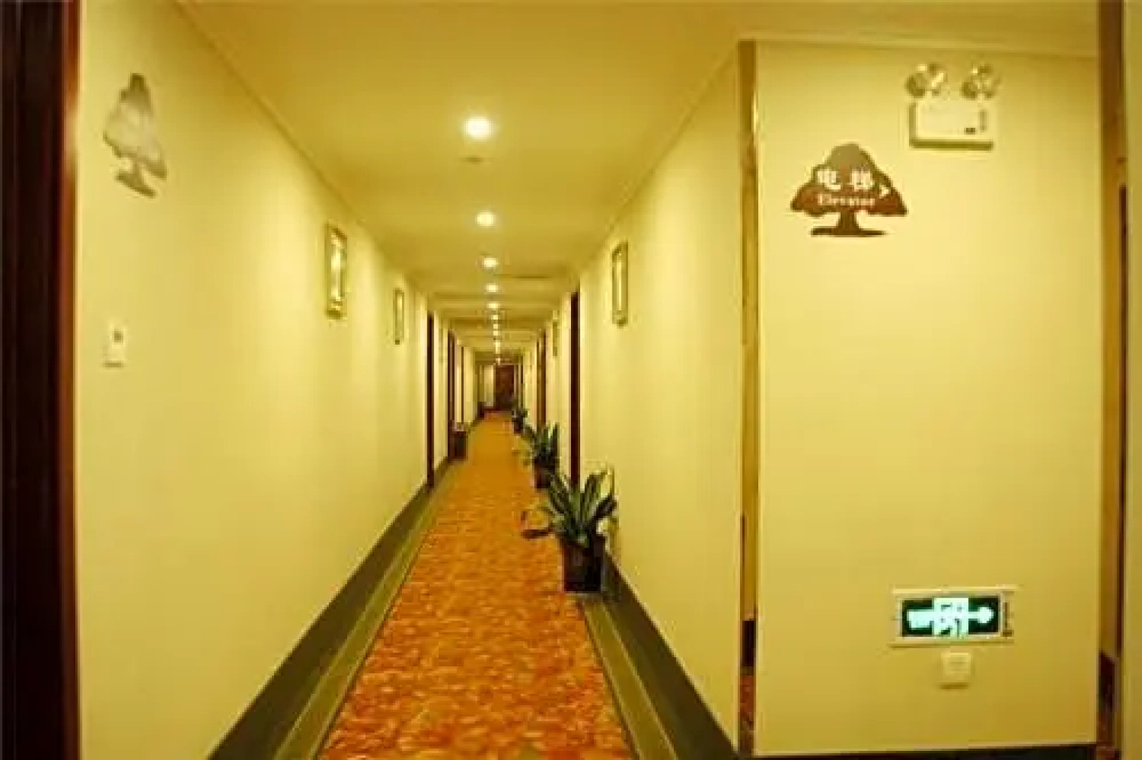 GreenTree Inn Chuzhou Tianchang Road Express Hotel