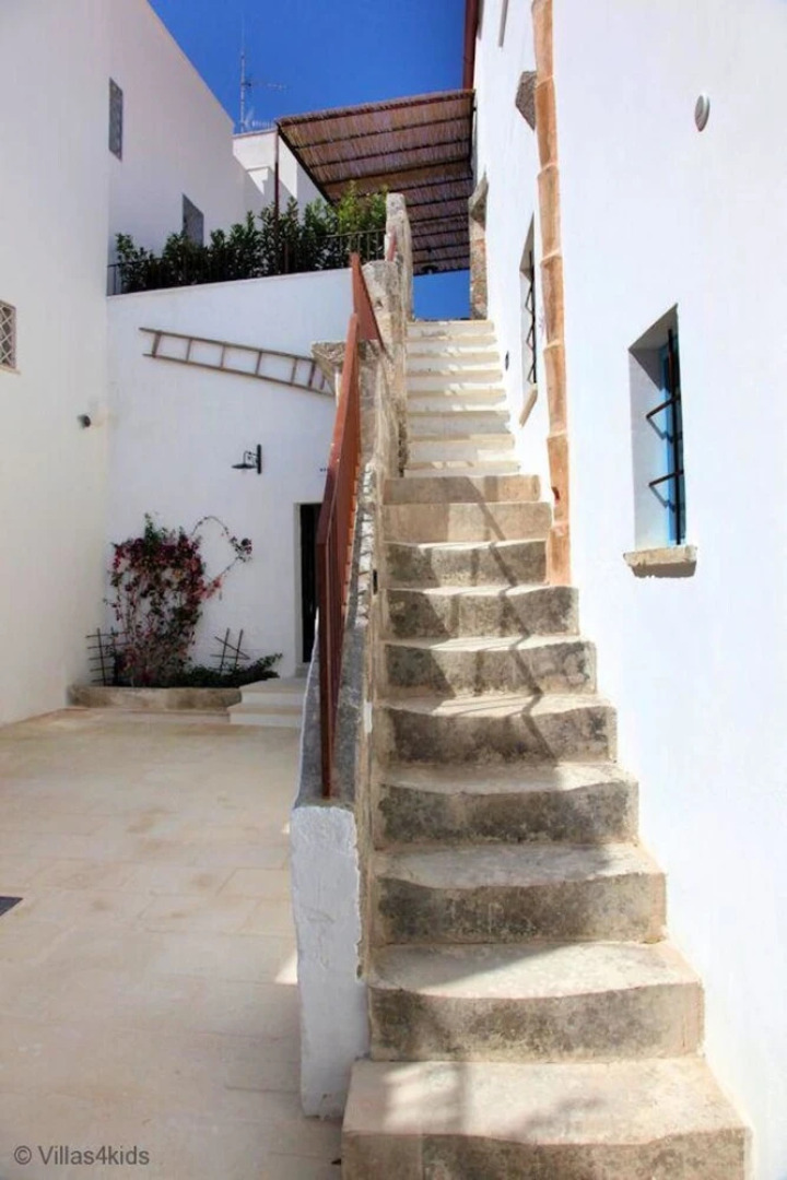 The Courtyard - Lilly