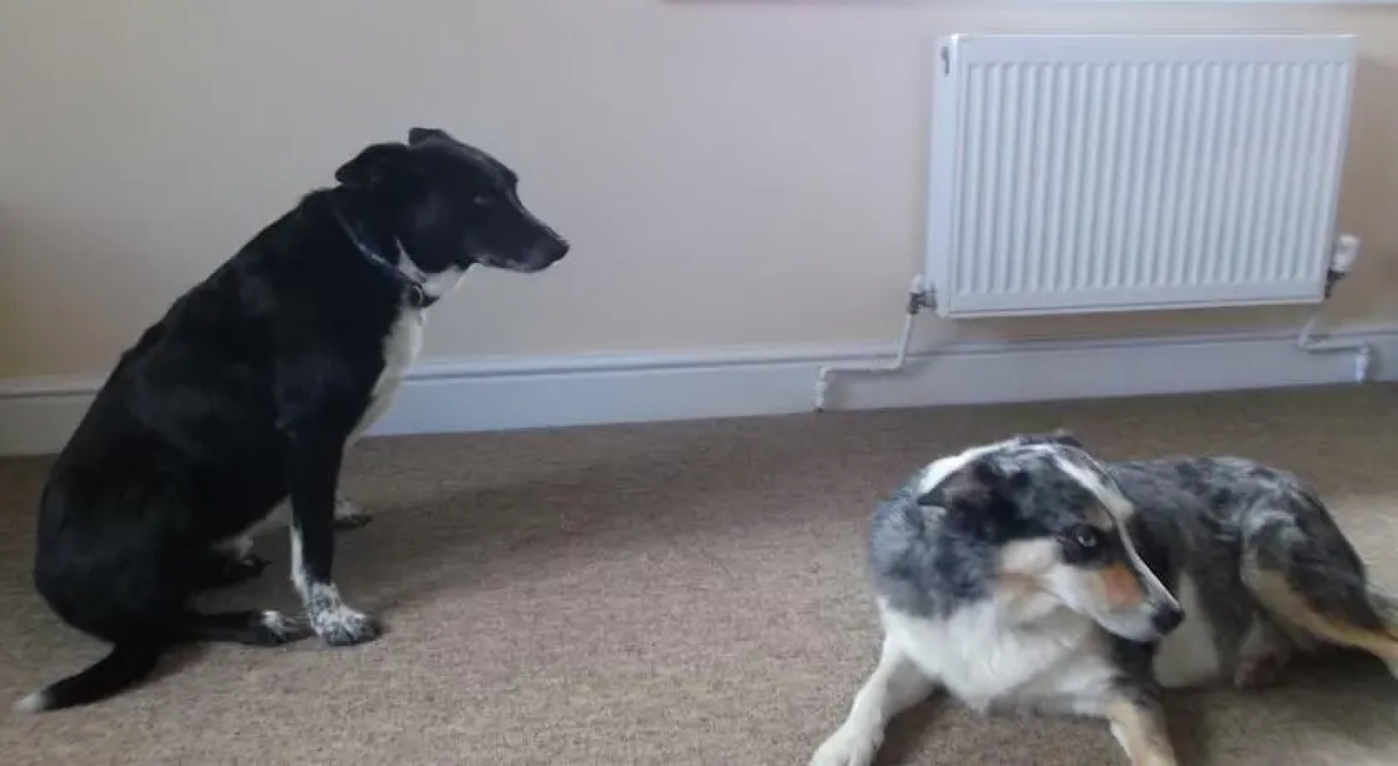 Keepers Cottage Bed and Breakfast