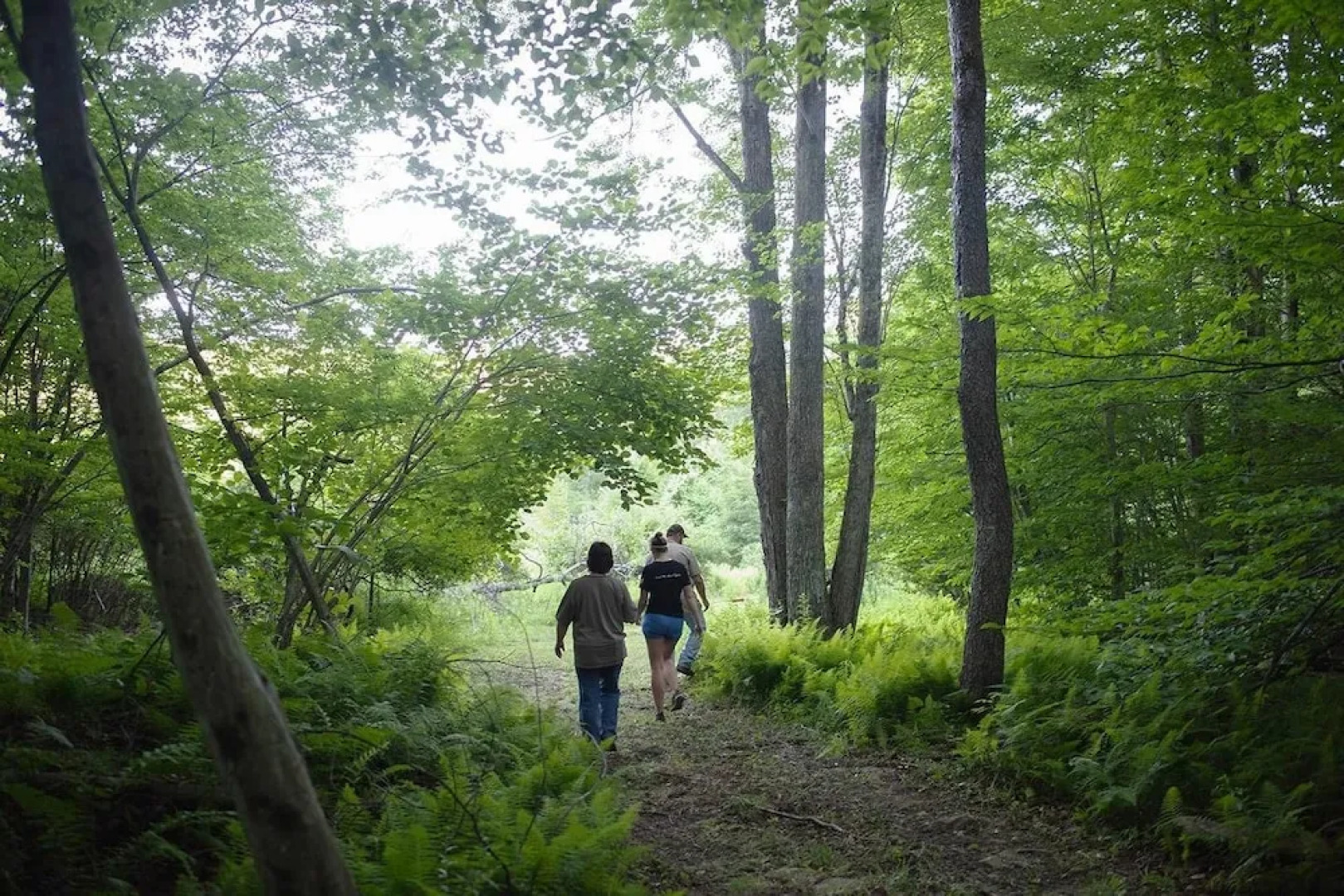 Tentrr - R Shady Creek Camp