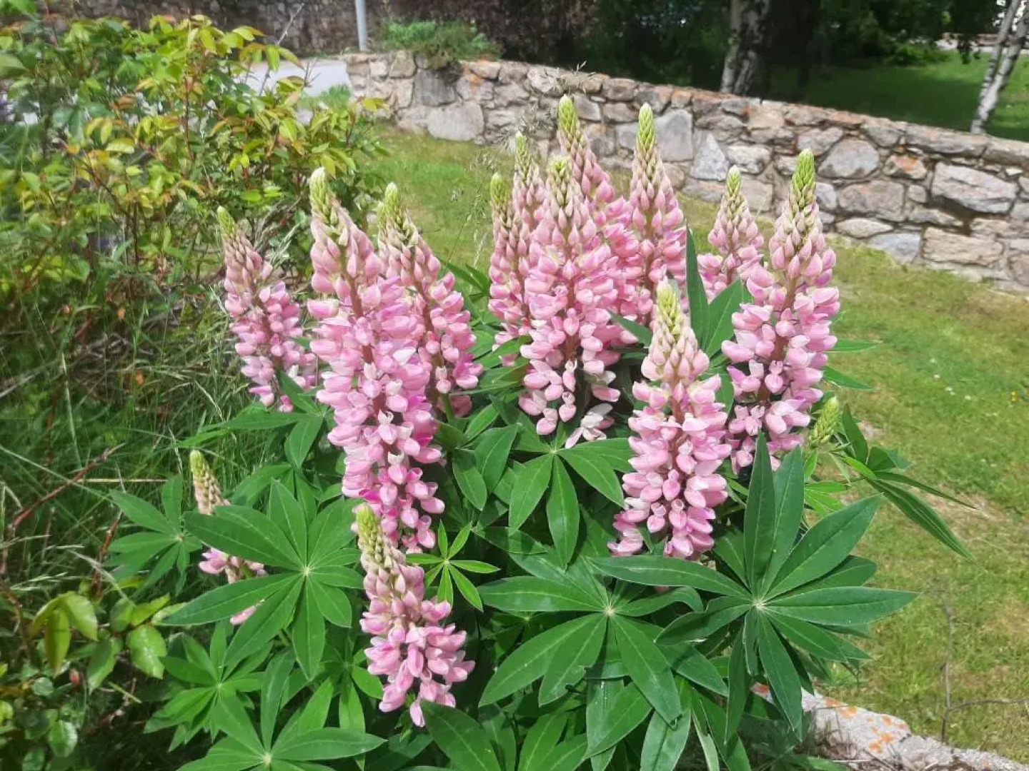 Appart 50m carré maxi 6 personnes vue panoramique montagne