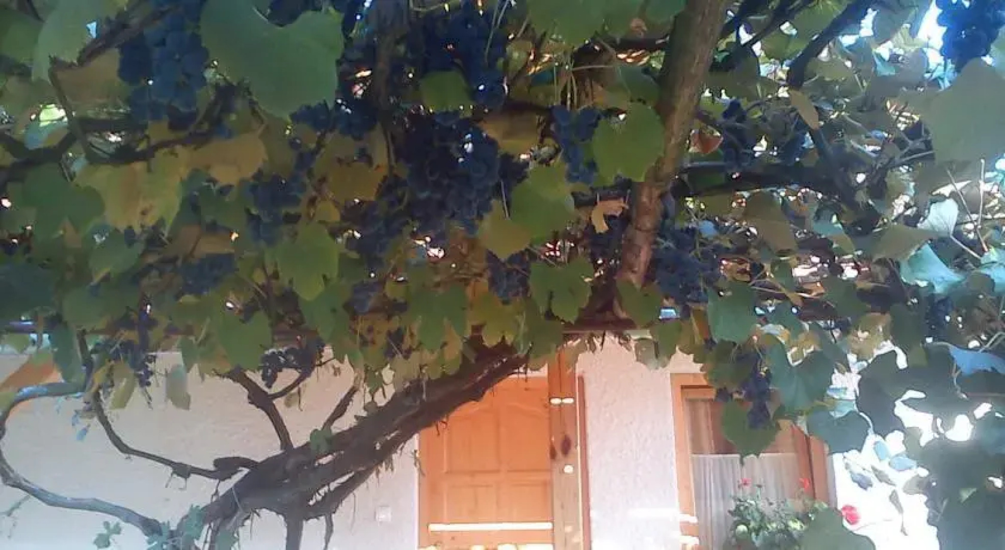 Taligakerék Vendégház