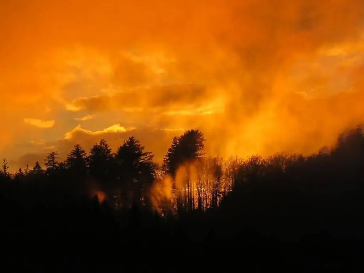 Berghof Grüner Baum