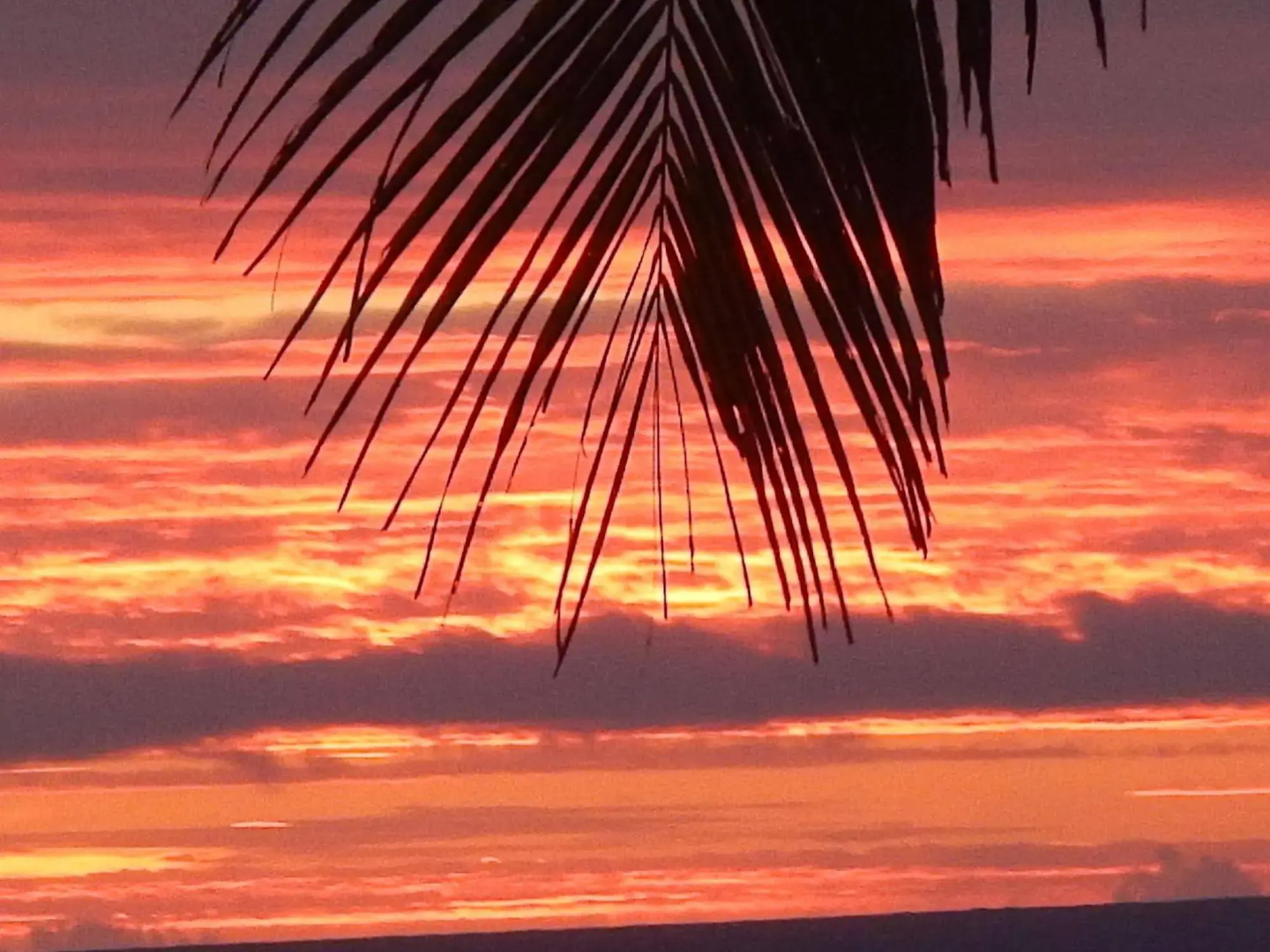 Reef Motel - Aitutaki