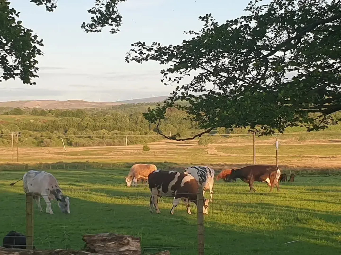 Cosy Wood Cabin in Rural Area Near National Park