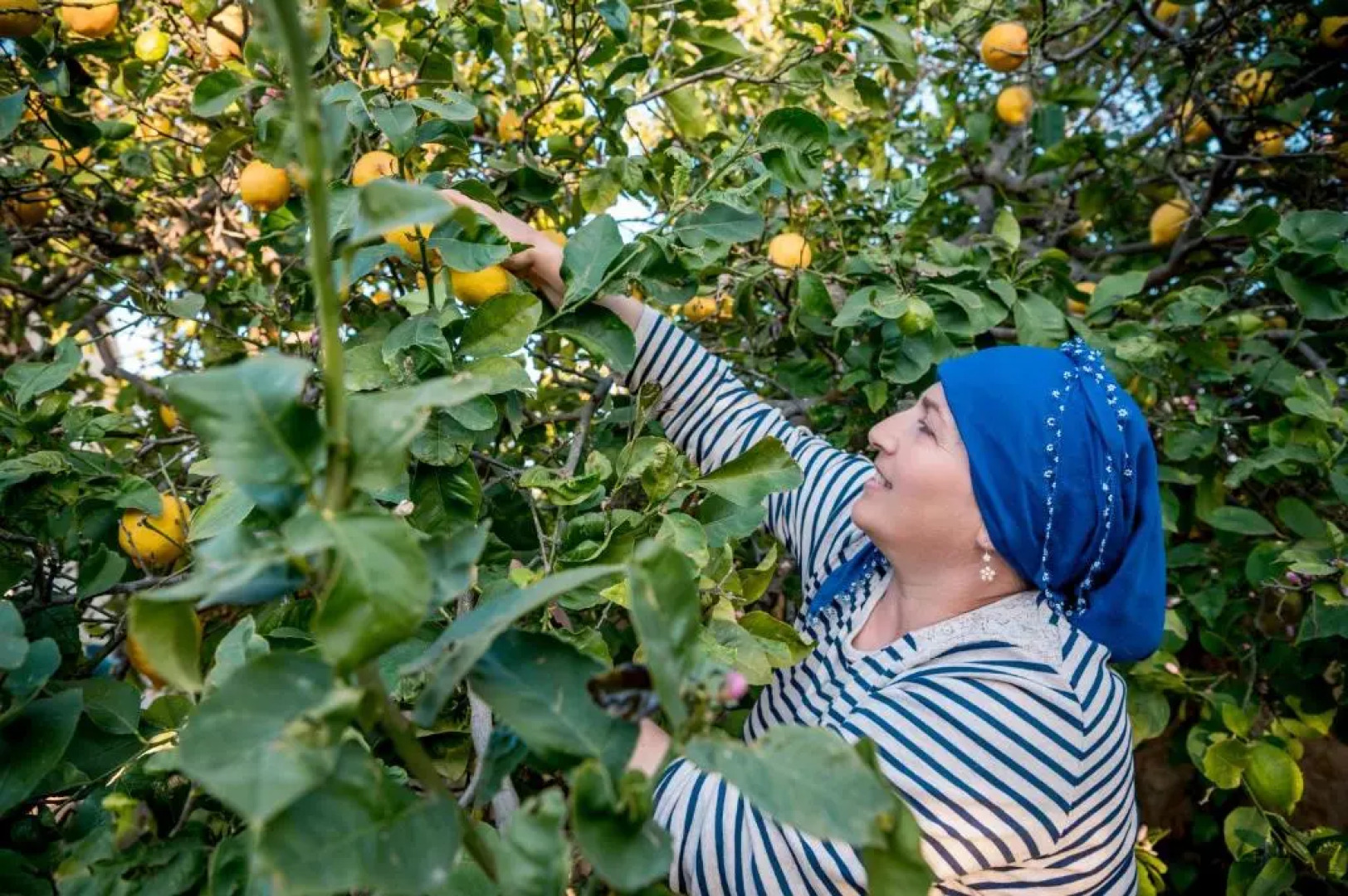 Revaklı Ev Guest House