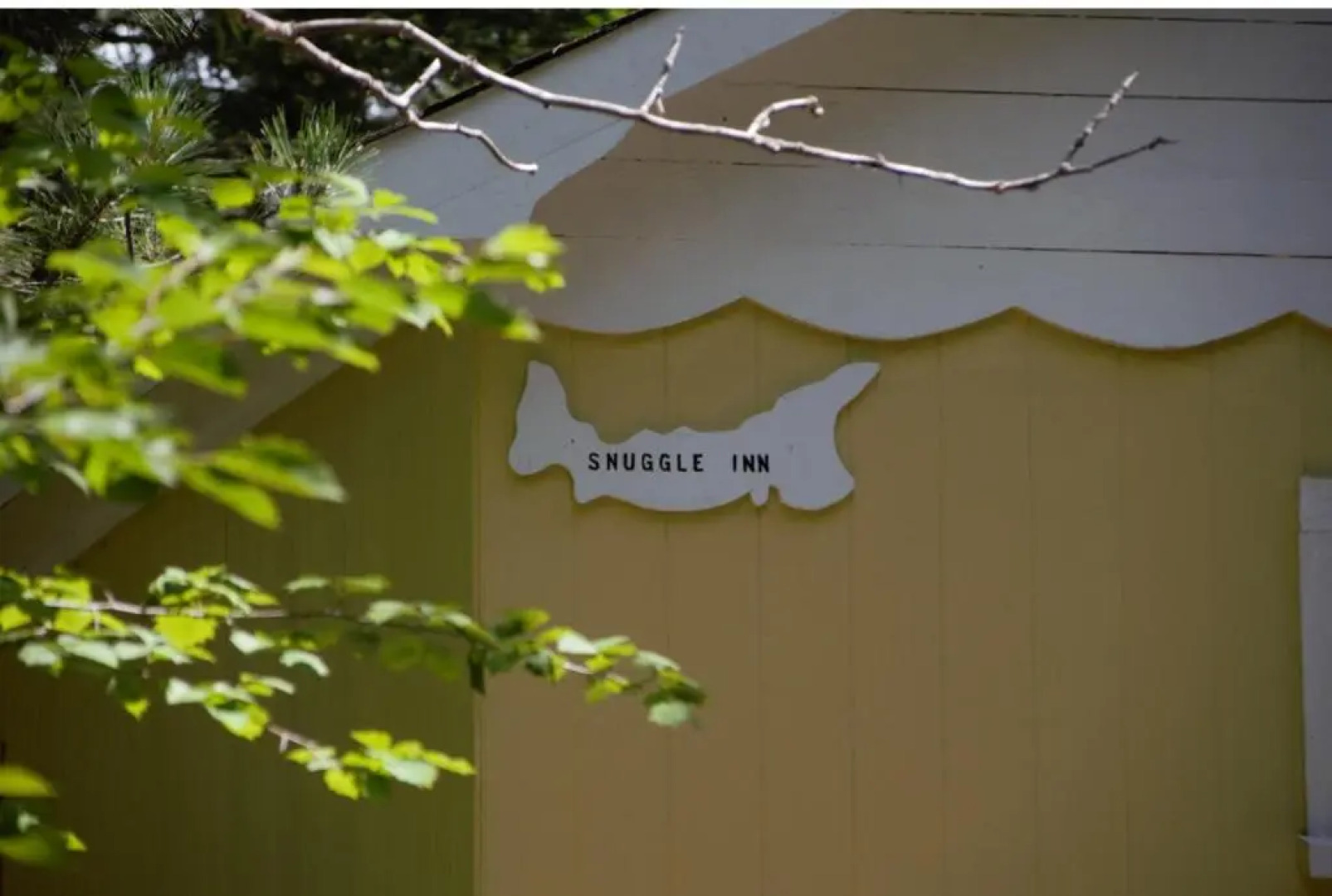 Forest & Stream Cottages