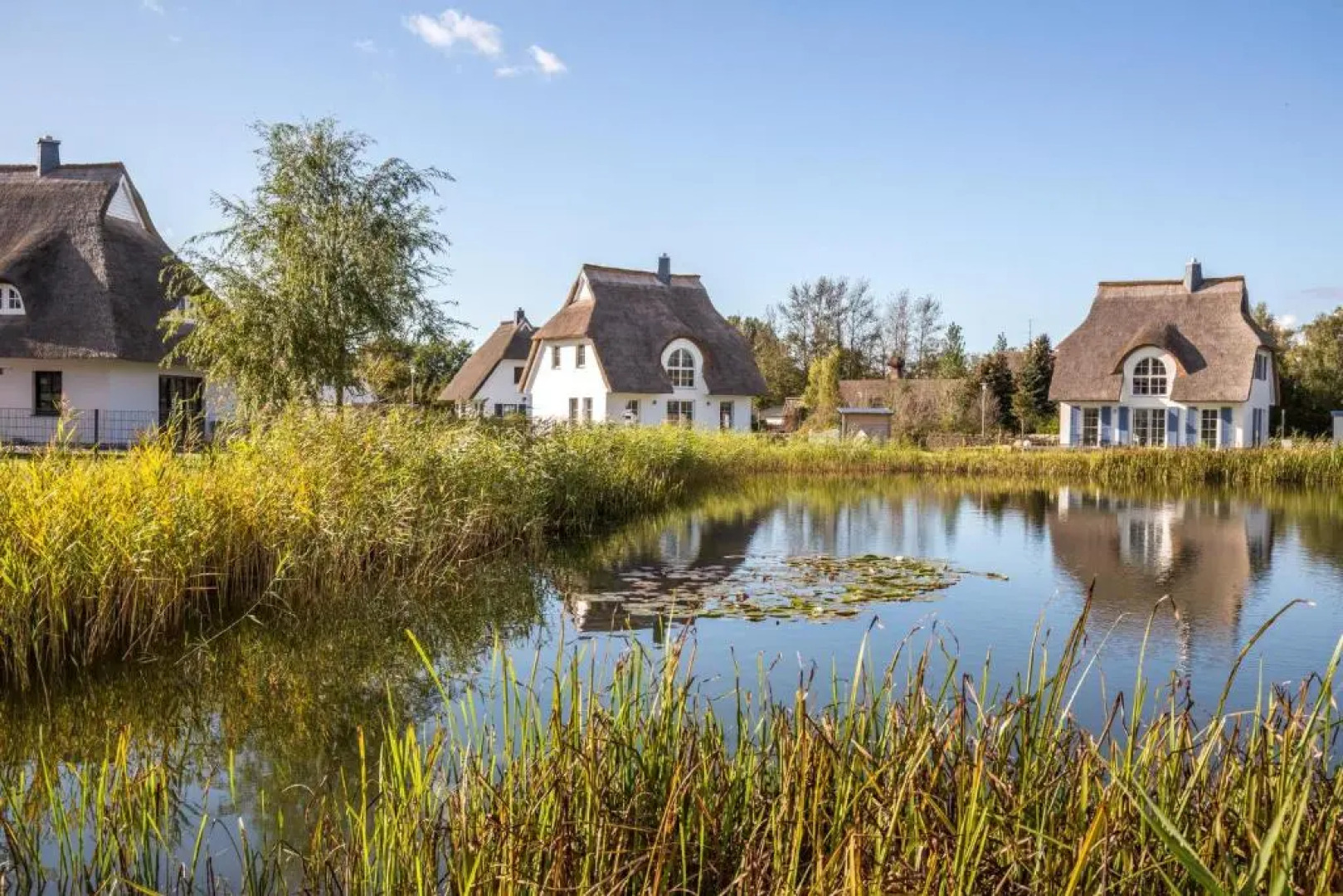 Ferienhaus Schilfrohrsaenger 31