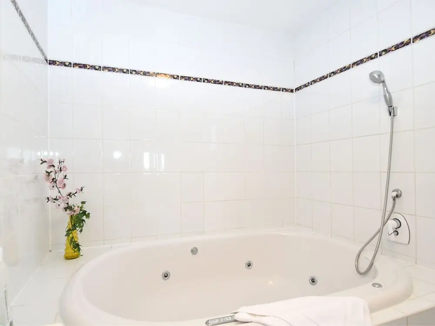 Spacious Apartment with Sauna and Jacuzzi in Harz