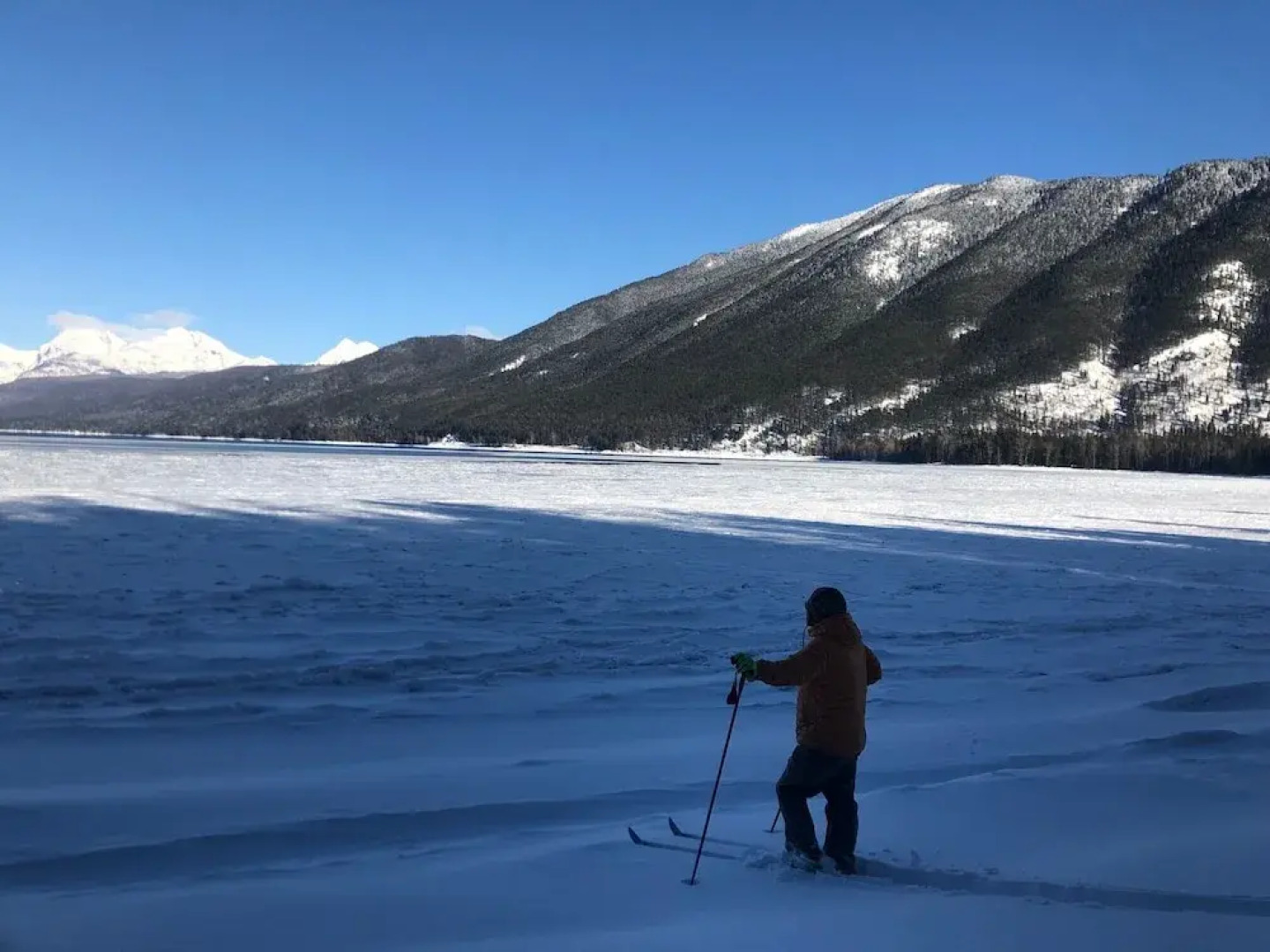 The Reclusive Moose Cabins