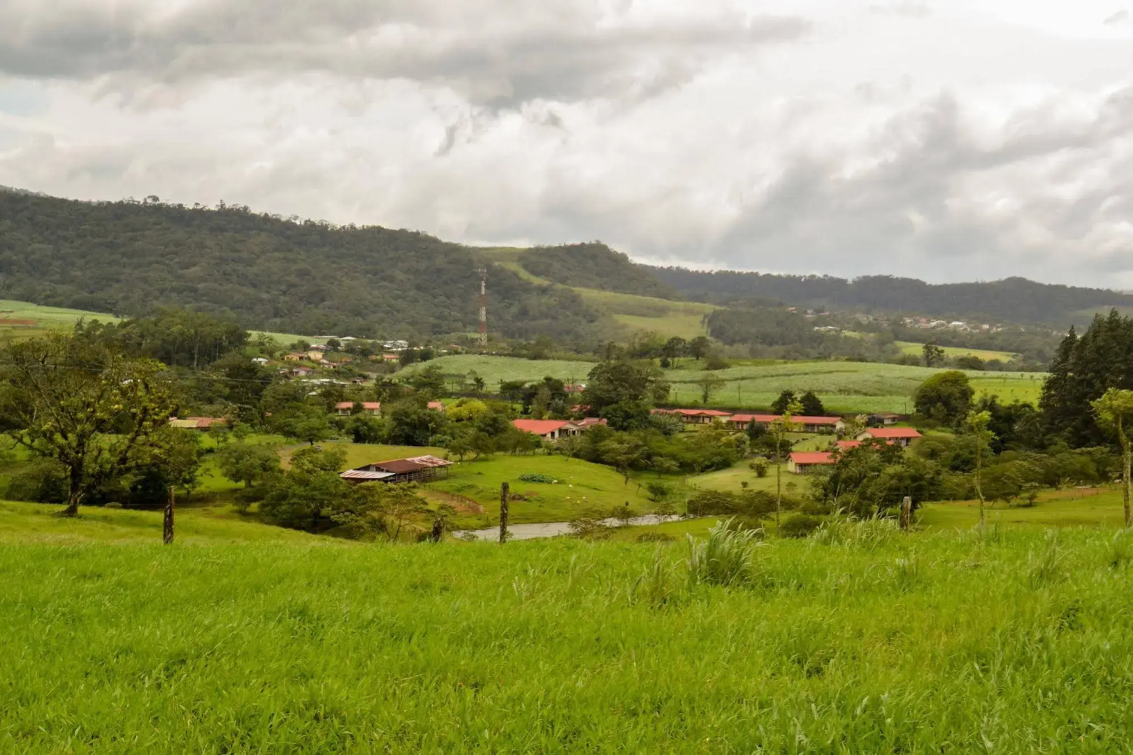 Termales del Bosque & Hot Springs