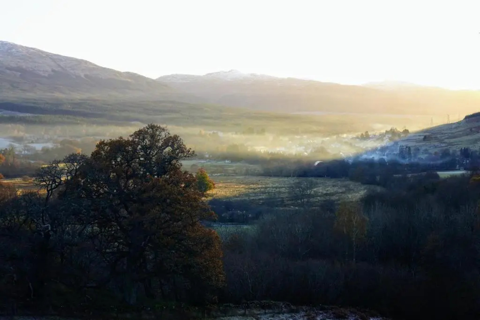 Cosy & compact Rowan Lodge no4