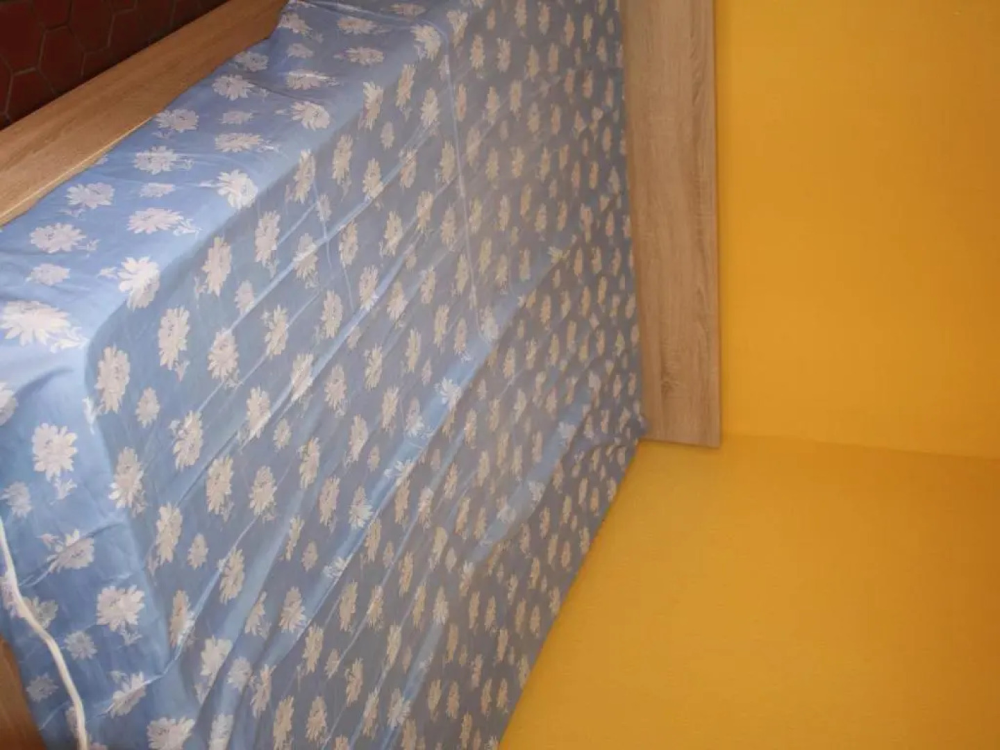 Maison Torreilles, 2 pièces, 4 personnes - FR-1-530-11