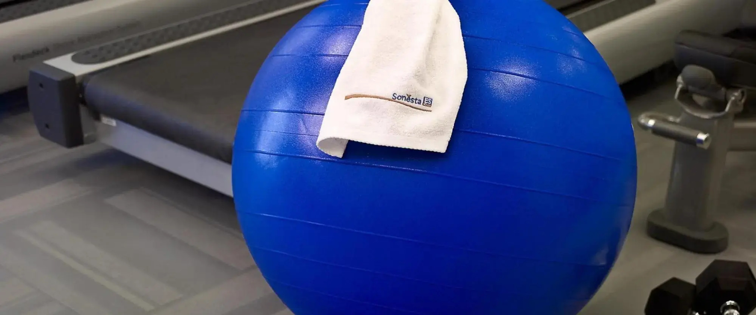 Sonesta ES Suites Ann Arbor