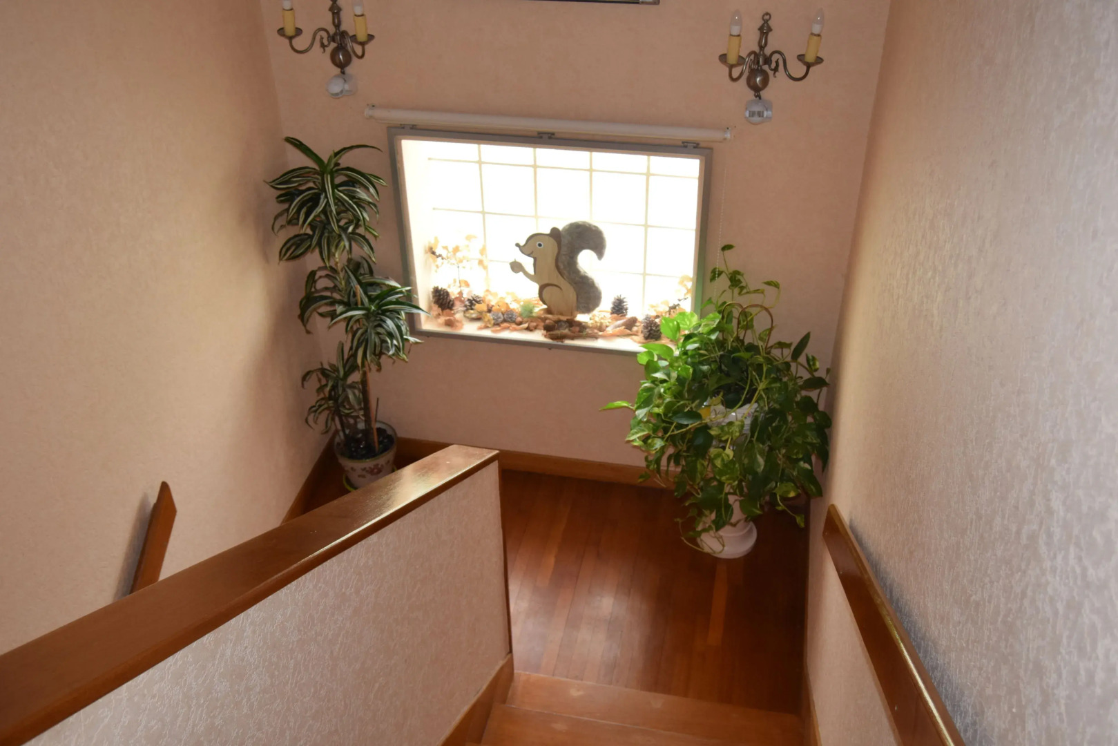 Le Nid de l'Ecureuil