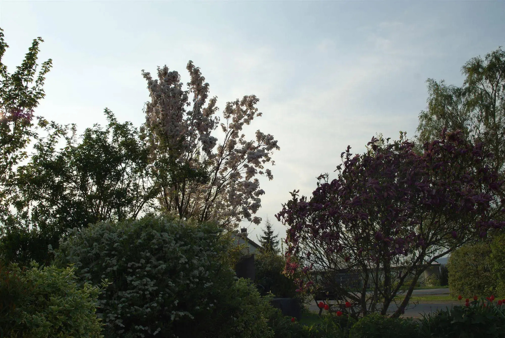 Waldesblick Hotel & Ferienwohnungen