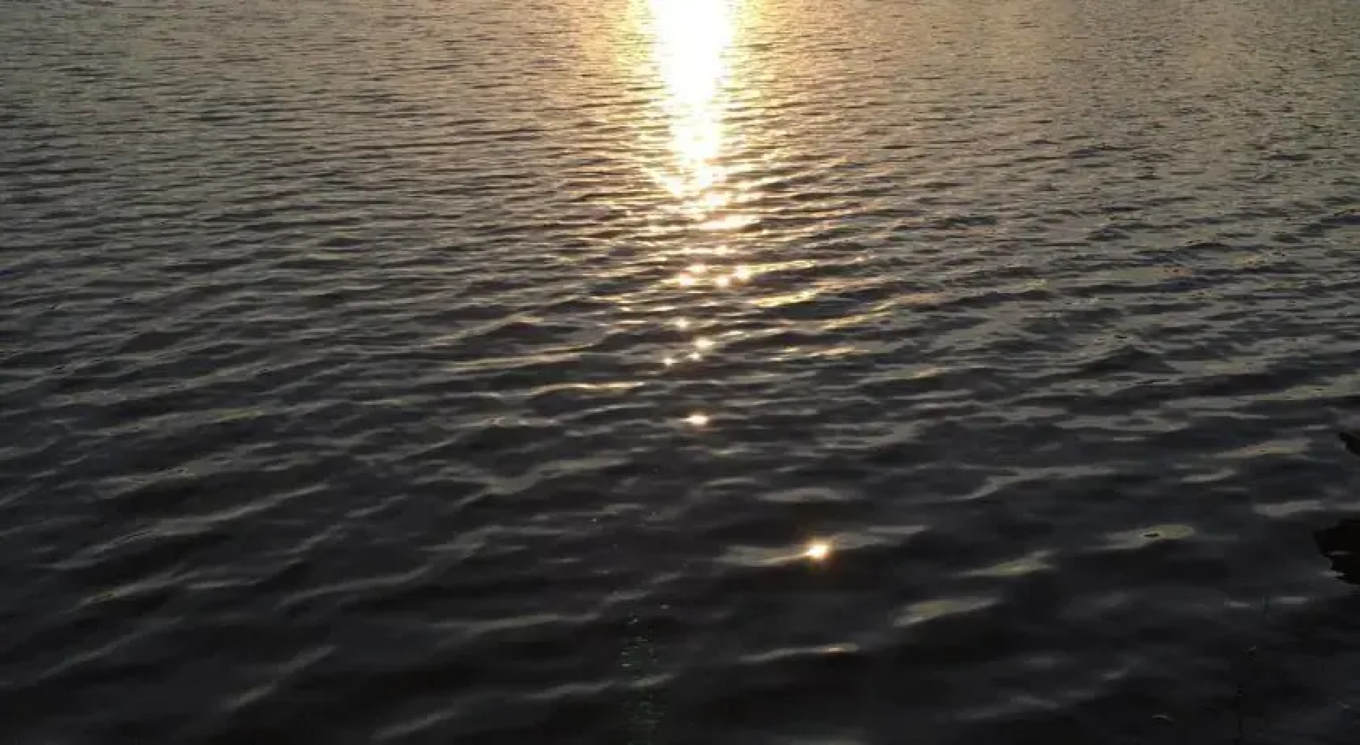 Wohnung Ternscher See