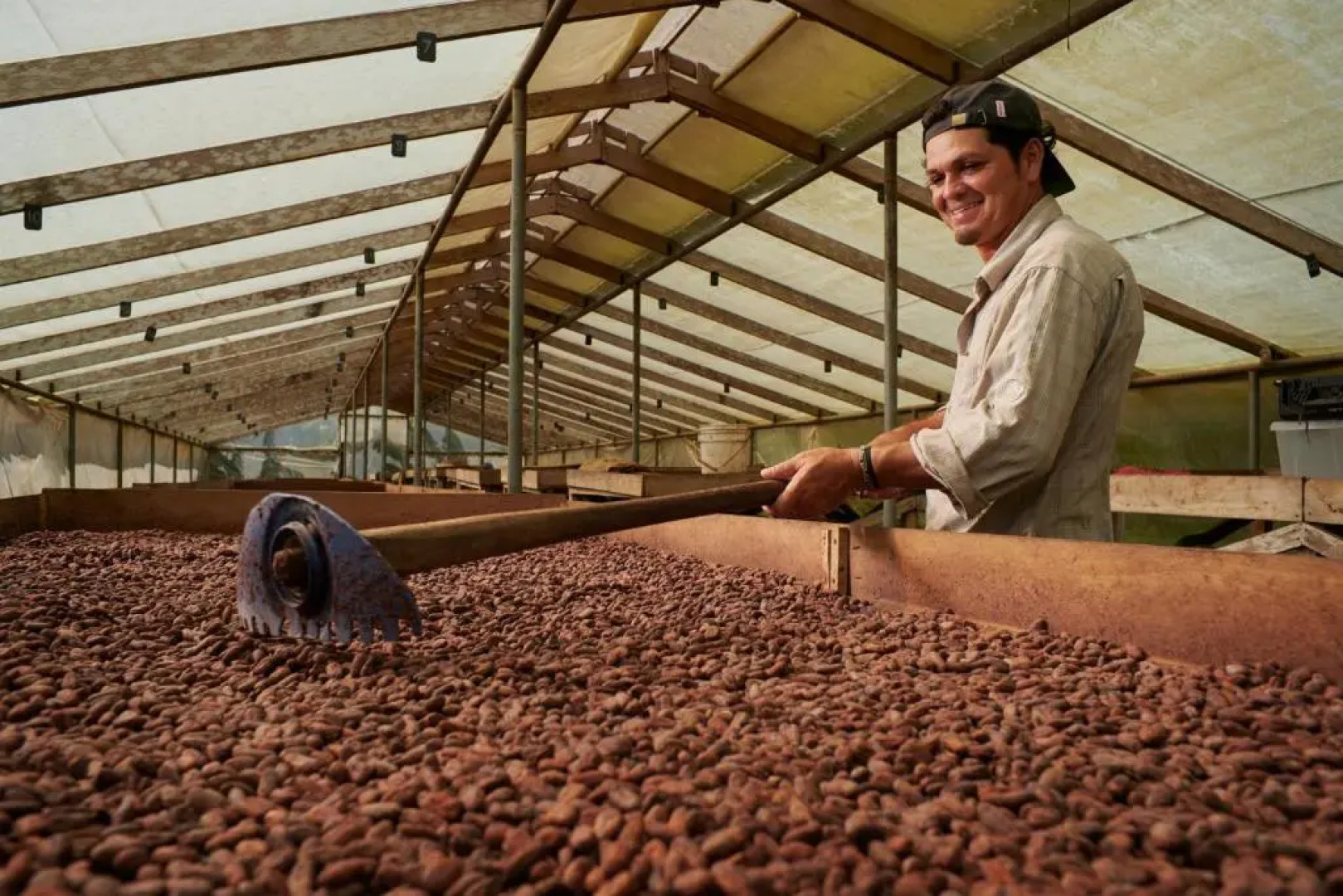 Finca Amistad Cacao Lodge