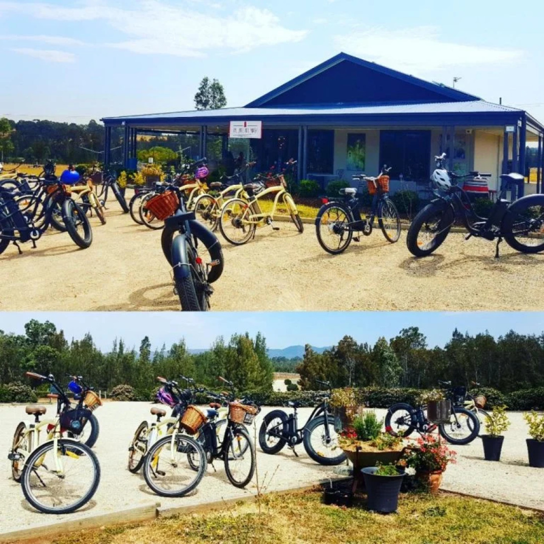 Red Door Collective - RDC Estate