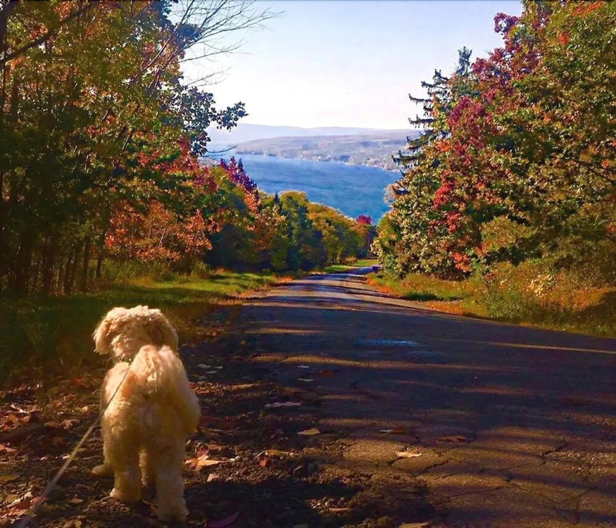 Trimmer House Bed and Breakfast