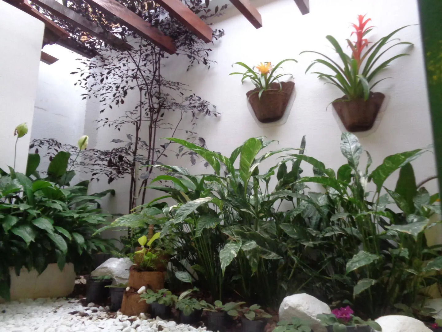 Rio Claro Plaza Hotel