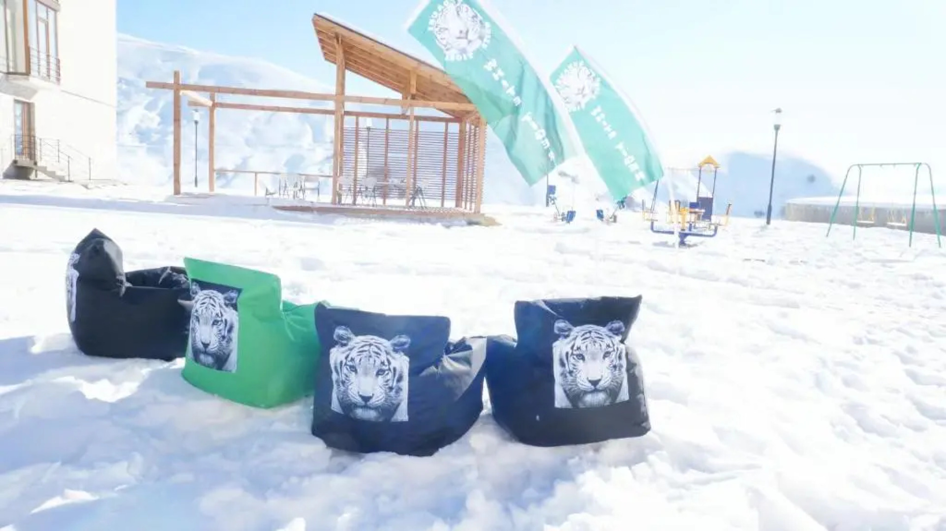 White Tiger in New Gudauri II