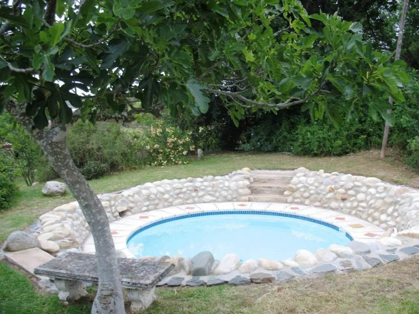 Fleur Bleue & the Timber Frame