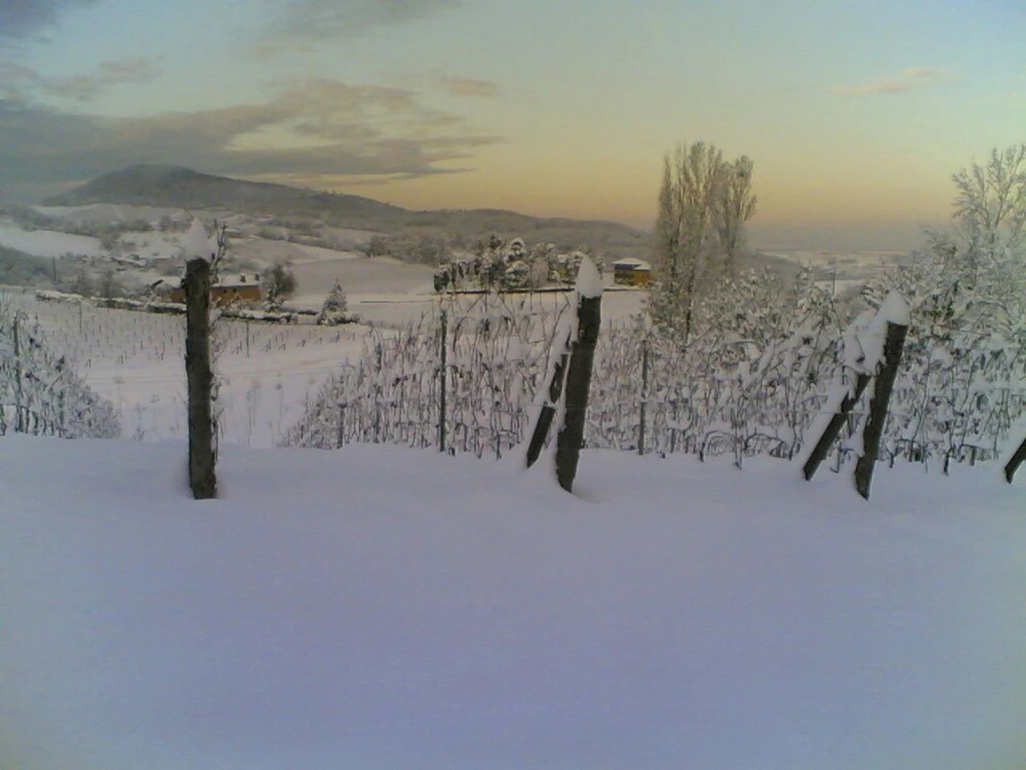 Agriturismo Villa Pallavicini