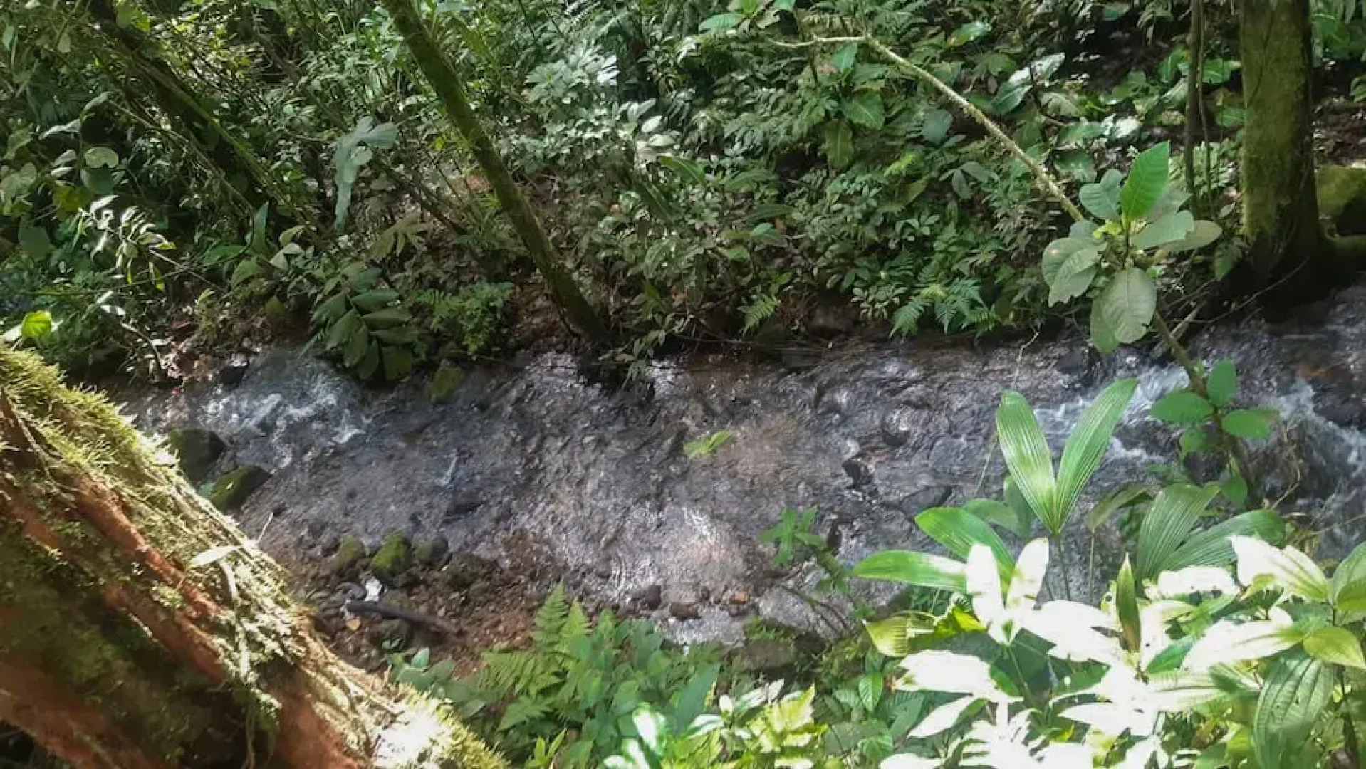 Rio Celeste Family Lodge