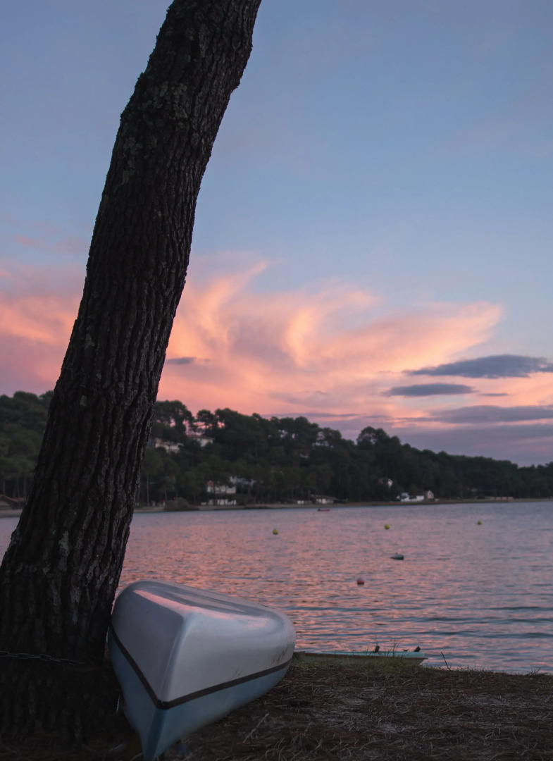 Résidence Hôtelière les Acanthes