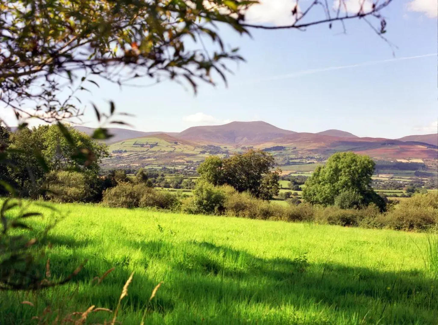 Aherlow House Hotel & Lodges