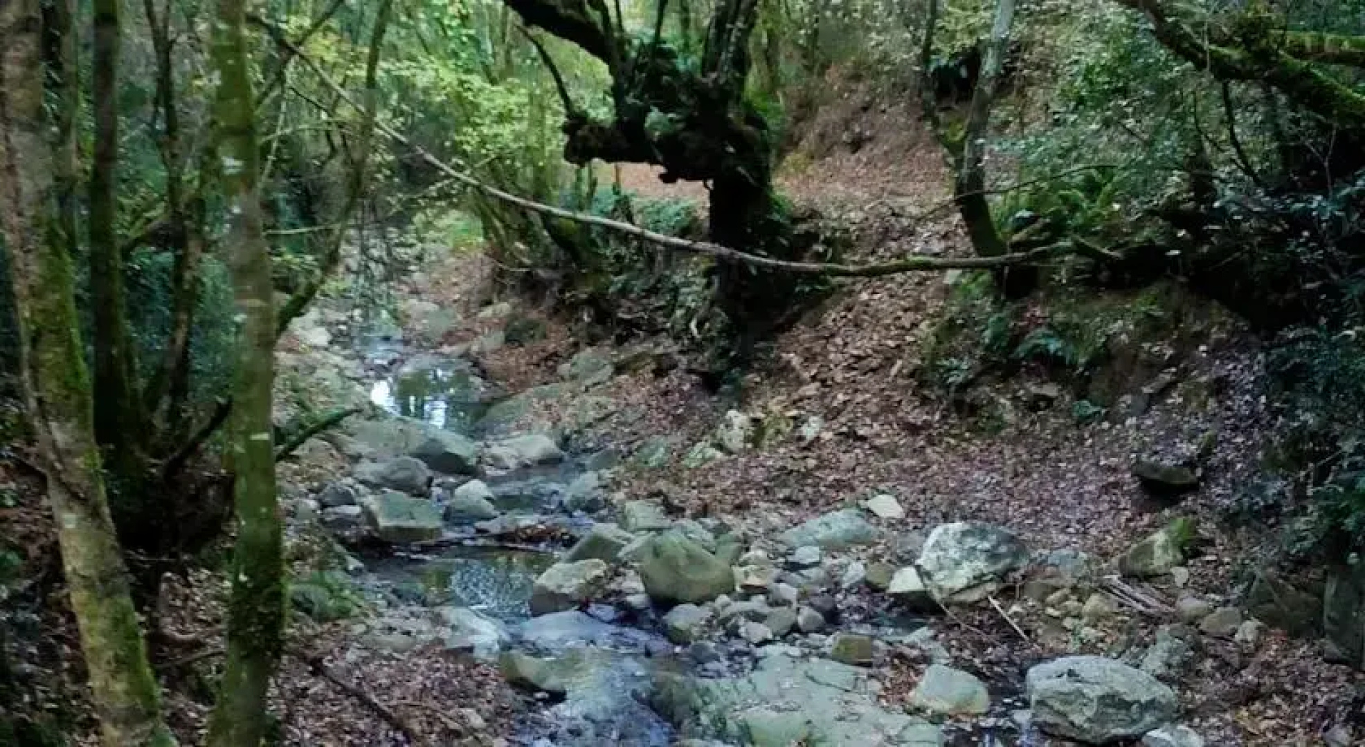 Il Moro In Piazzetta