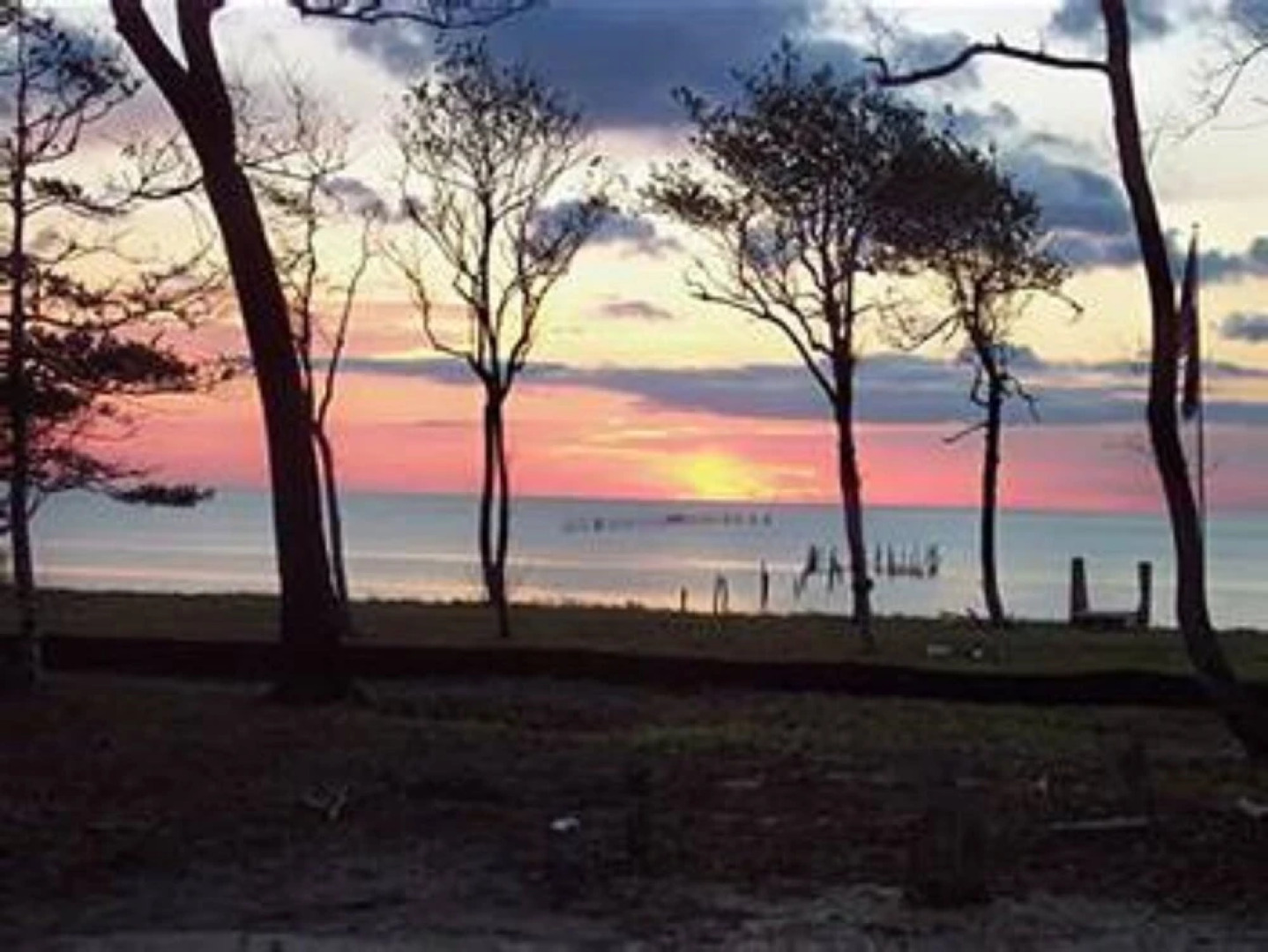 The Baywood Bed & Breakfast