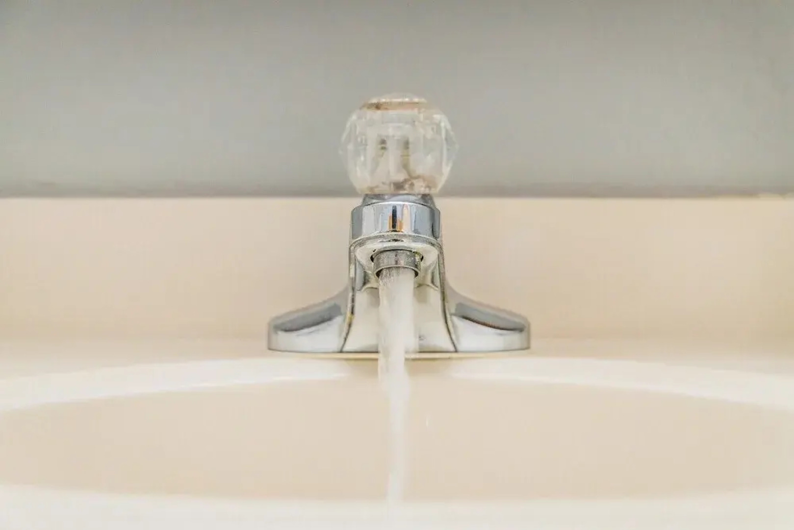 Cozy and Convenient 1bd in Alameda