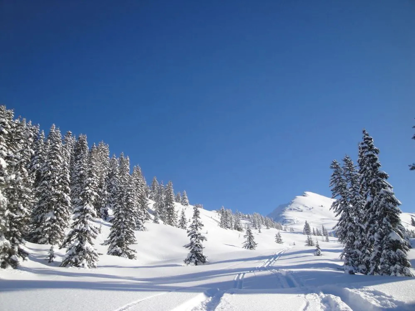 Ferienwohnung Eberharter