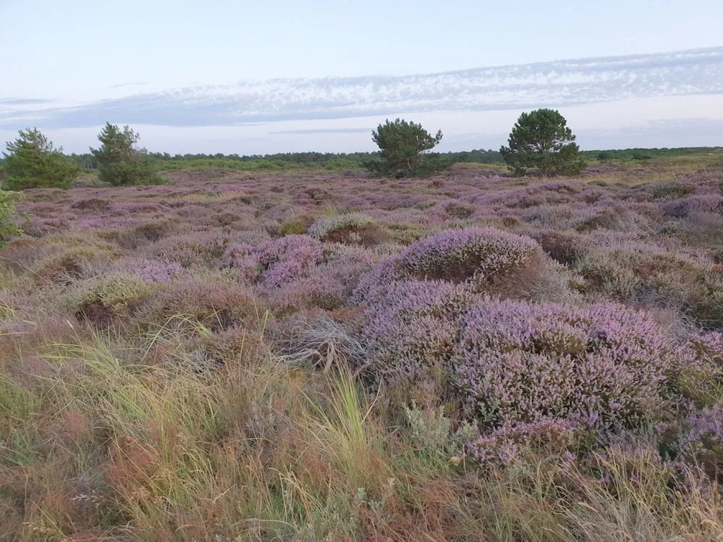 Hotel Brasserie Den Burg
