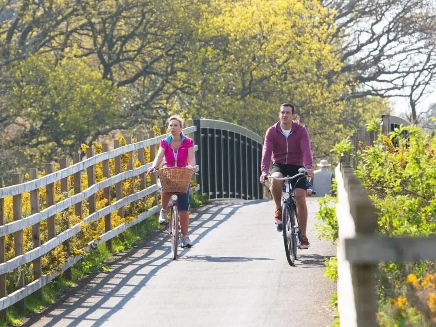 University of Exeter Holland Hall