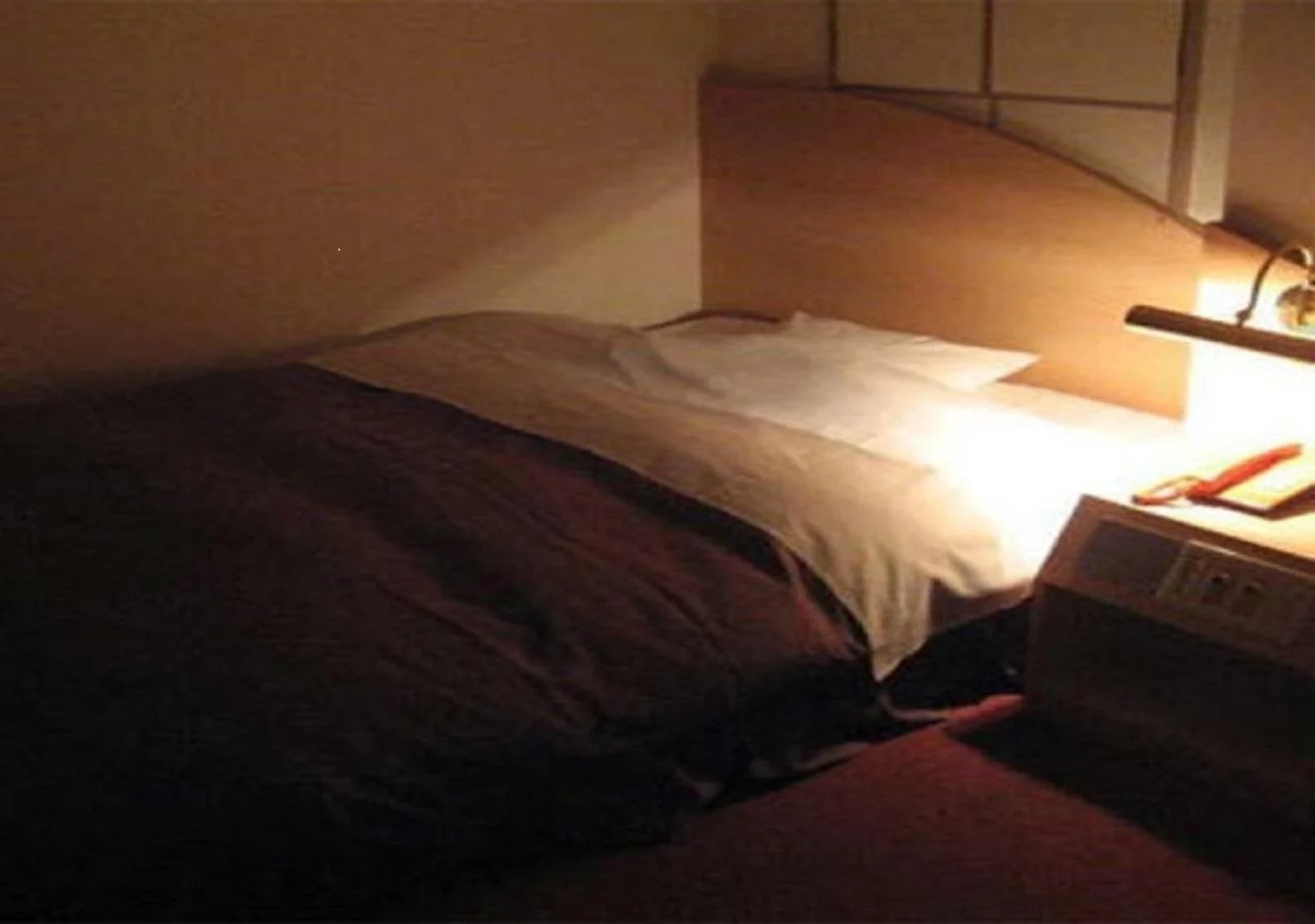 Business Hotel Kawaramachi