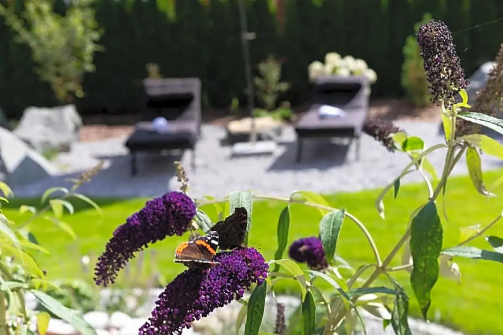 Hotel-Garni Bergidyll