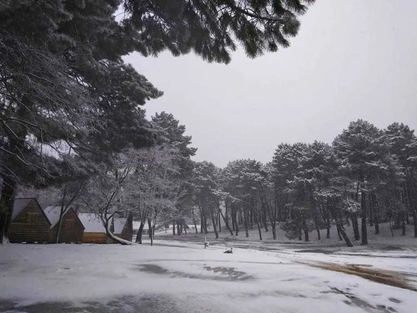 Refugio de Montaña Campamento San Juan