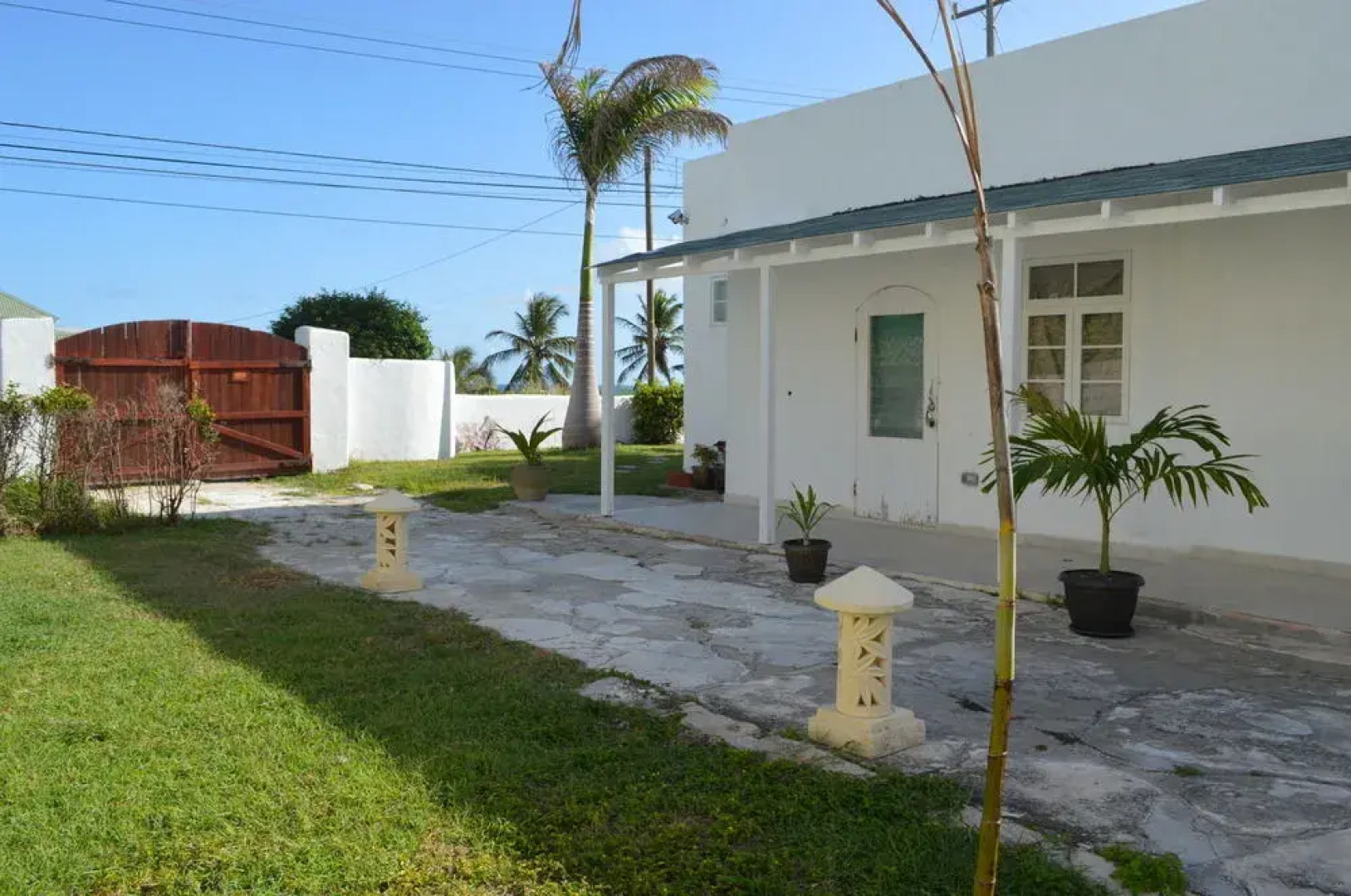 Tropical Gecko Studio